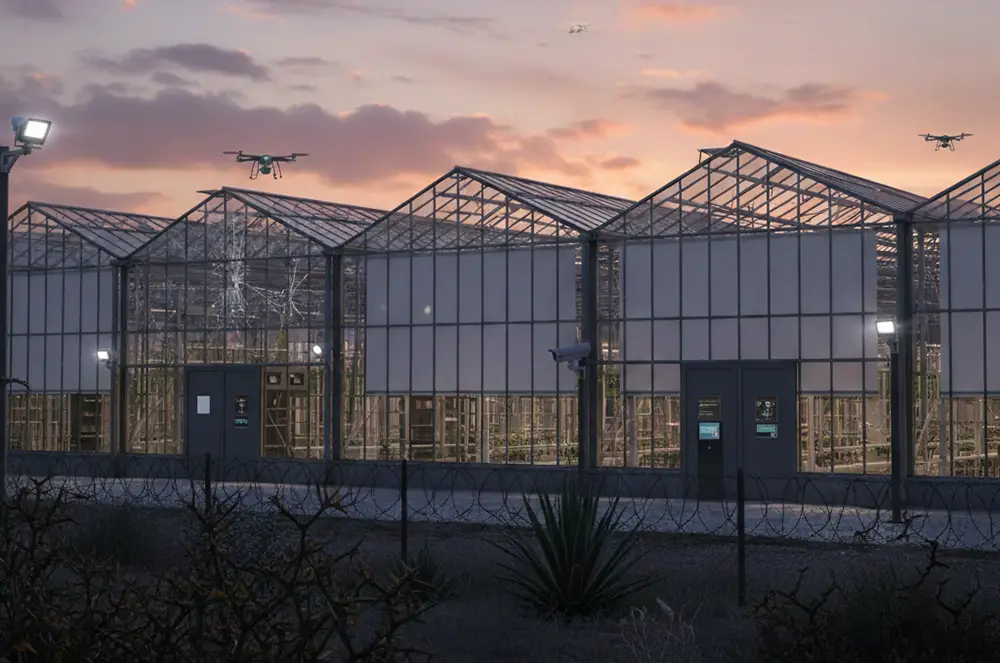 3 روش قطعی برای امنیت گلخانه ها بررسی نقاط ضعف گلخانه ها و روش های ارتقای امنیت